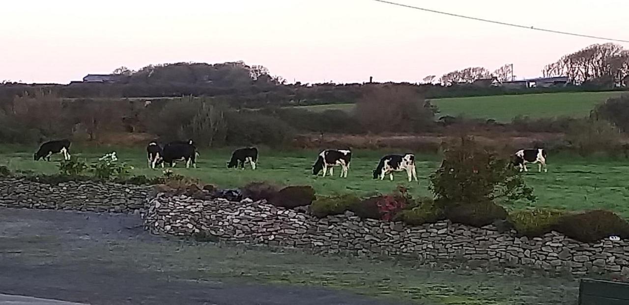 Murphys Irish Farmhouse ทราลี ภายนอก รูปภาพ